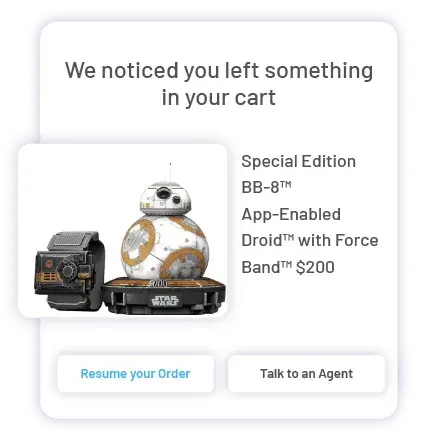 Support During Purchase 